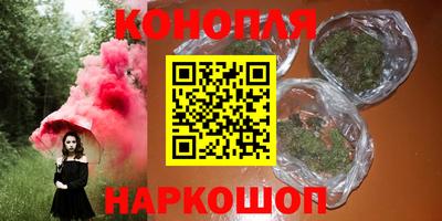 стаф Дубна