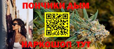 стаф Дубна